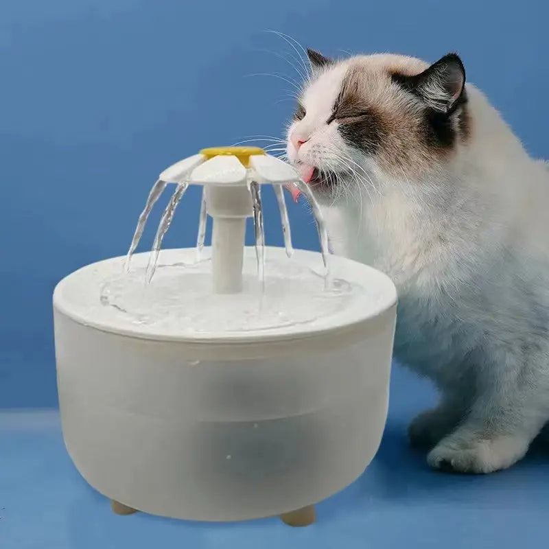 Fontaine à Eau XL 1200mL 💦