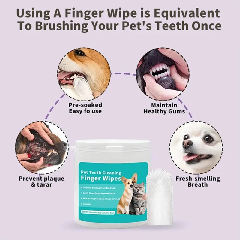 Doigtiers Brosse à Dents 🦷
