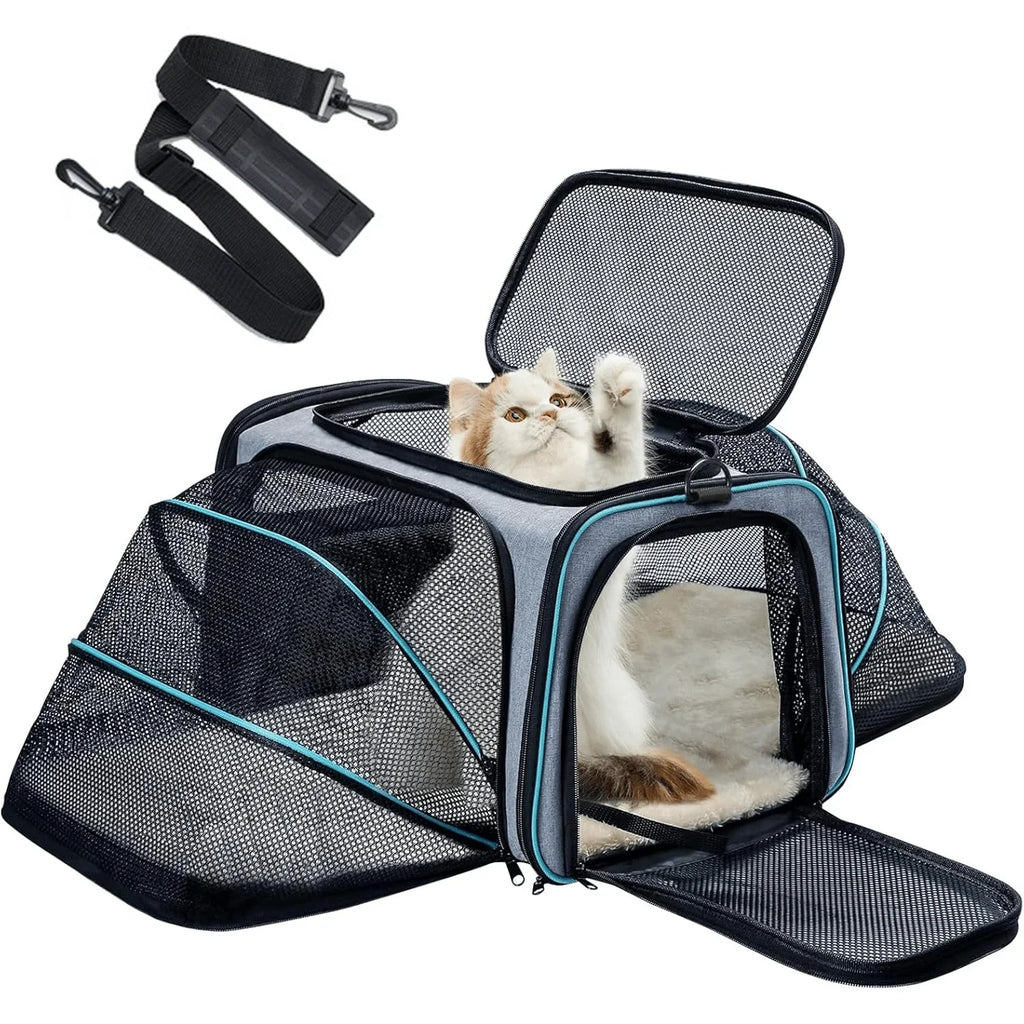 Sac de Transport Agréé Avion ✈️🐾