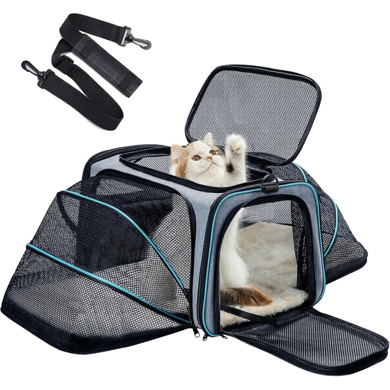 Sac de Transport Agréé Avion ✈️🐾
