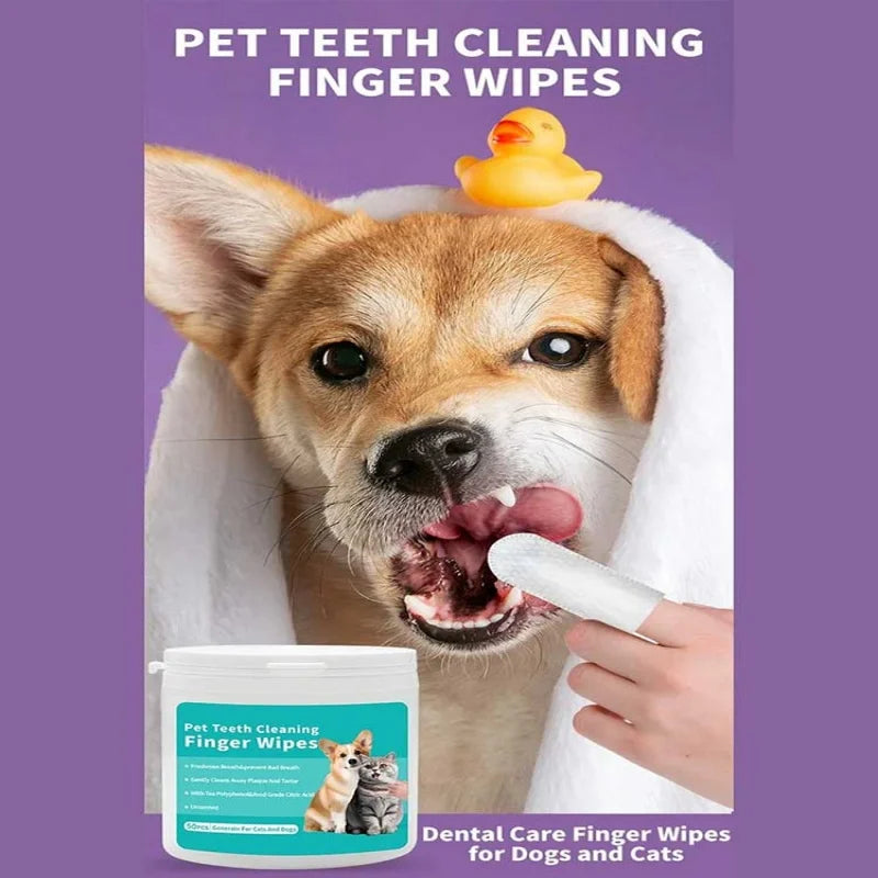 Doigtiers Brosse à Dents 🦷