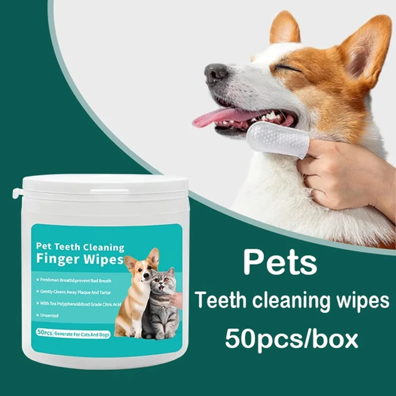 Doigtiers Brosse à Dents 🦷