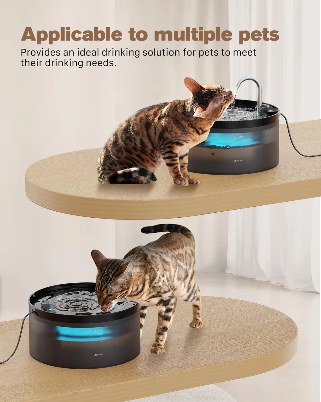Fontaine à Eau Automatique 2.1L 💧