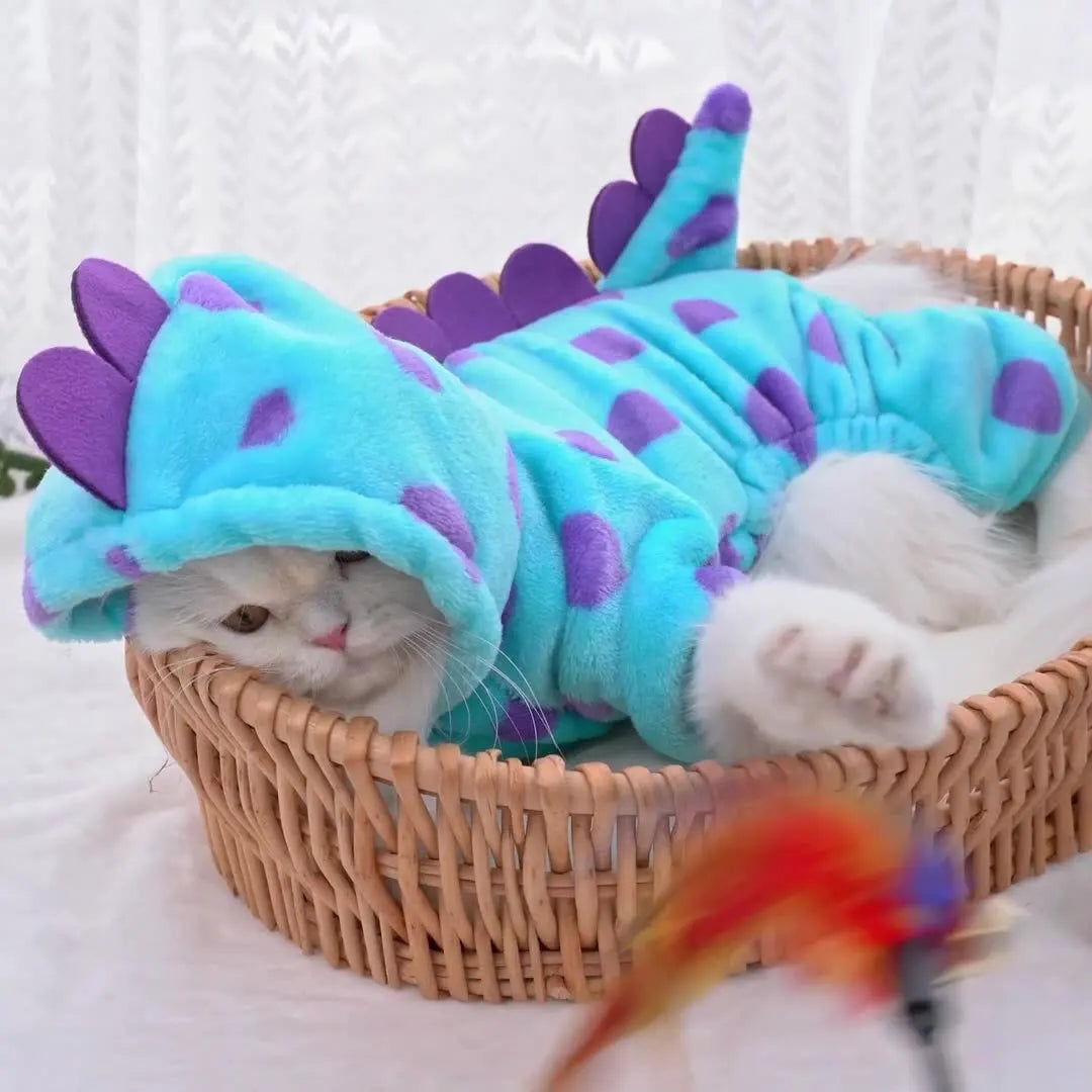 Costume Dino à Capuche 🦖