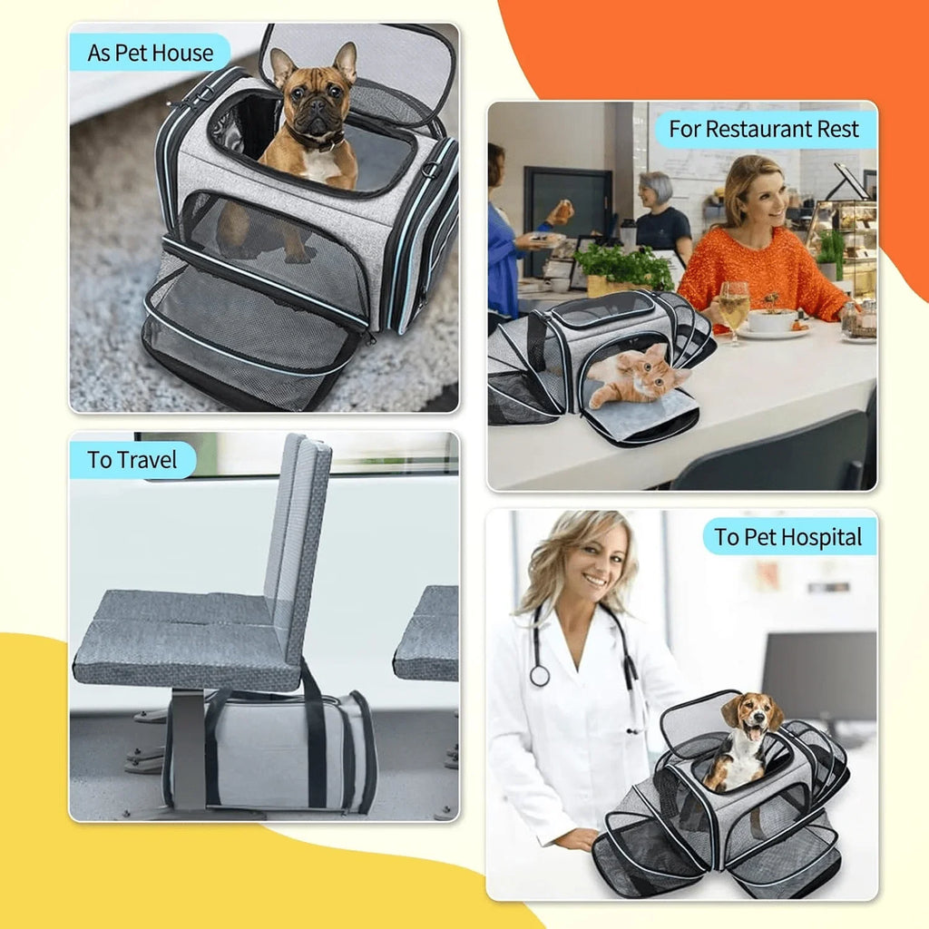 Sac de Transport Agréé Avion ✈️🐾