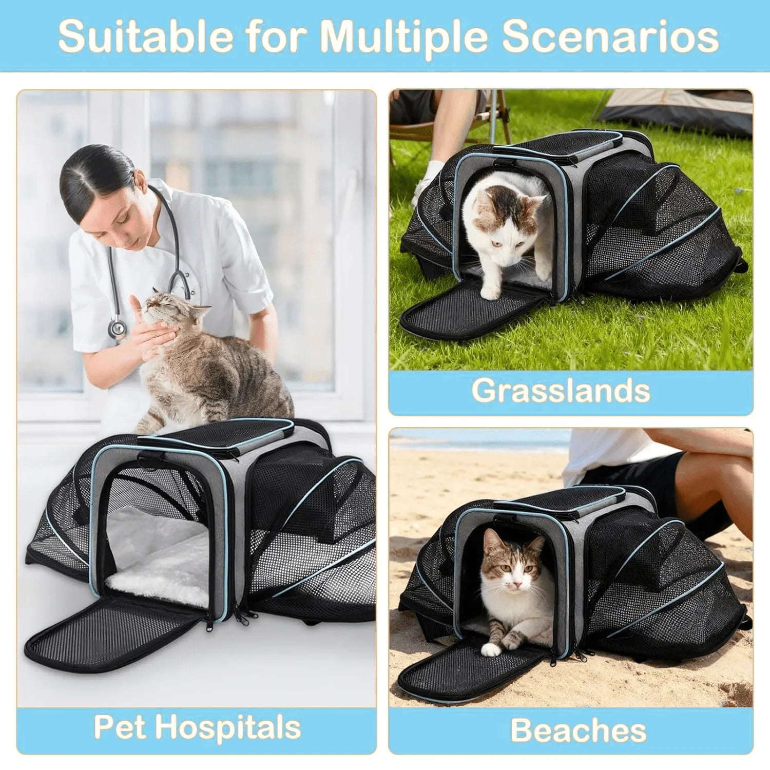 Sac de Transport Agréé Avion ✈️🐾