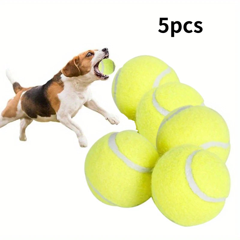 Balle Rebond Interactive pour Chien