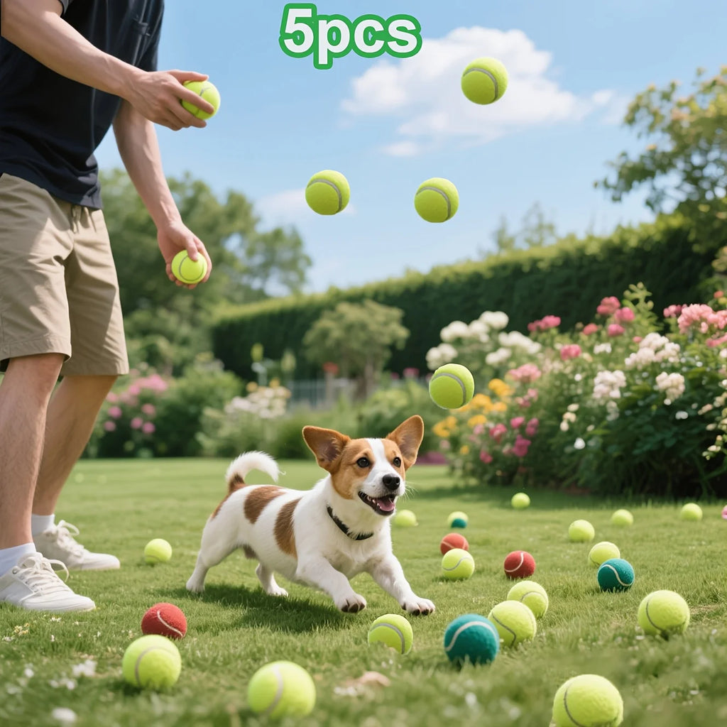 Balle Rebond Interactive pour Chien