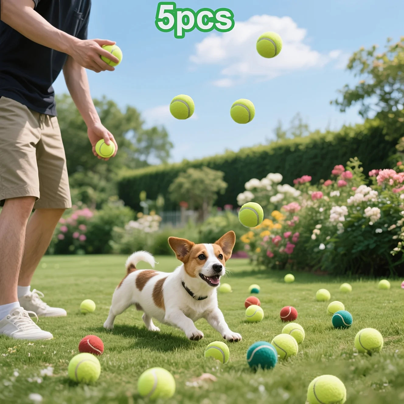 Balle Rebond Interactive pour Chien