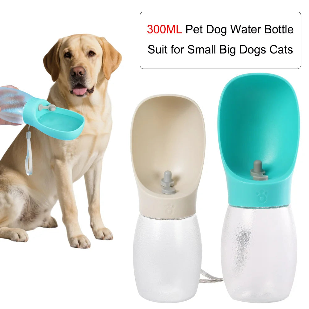Gourde Nomade 300ML 🐾