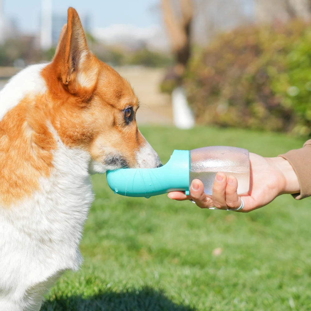 Gourde Nomade 300ML 🐾