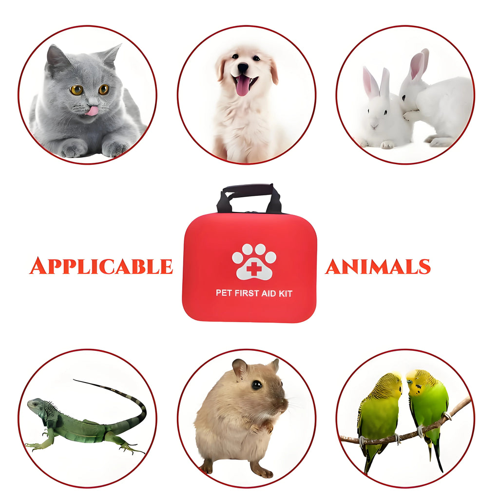 Kit Premiers Secours Animaux 🚑