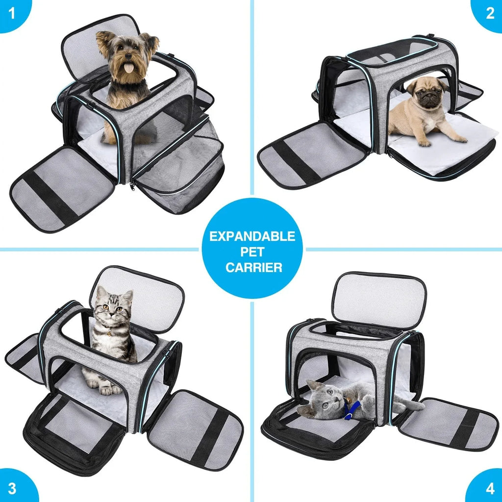 Sac de Transport Agréé Avion ✈️🐾