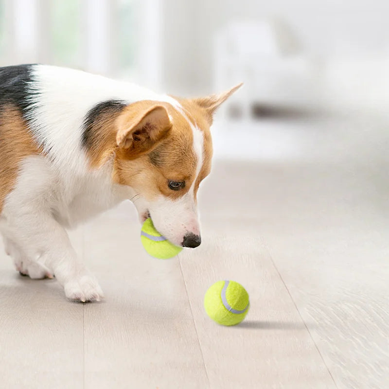 Balle Rebond Interactive pour Chien