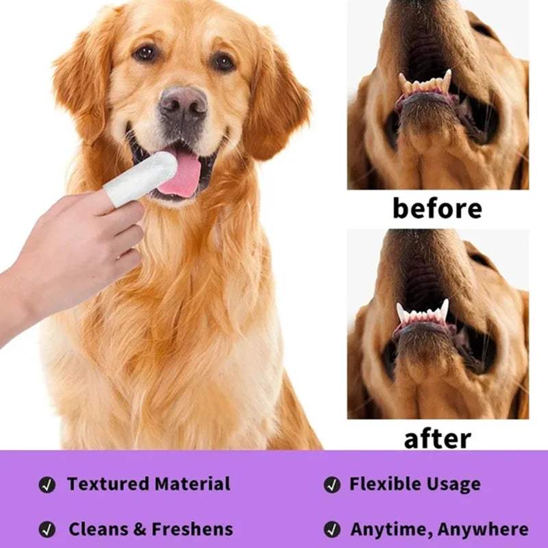 Doigtiers Brosse à Dents 🦷