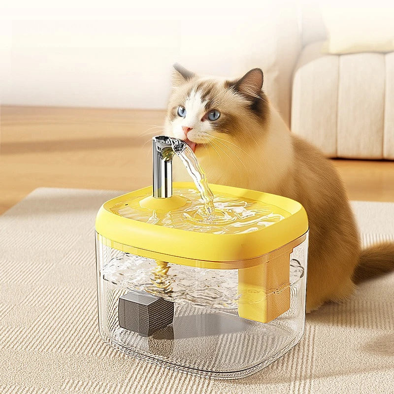 Fontaine à Eau Silencieuse 🐾