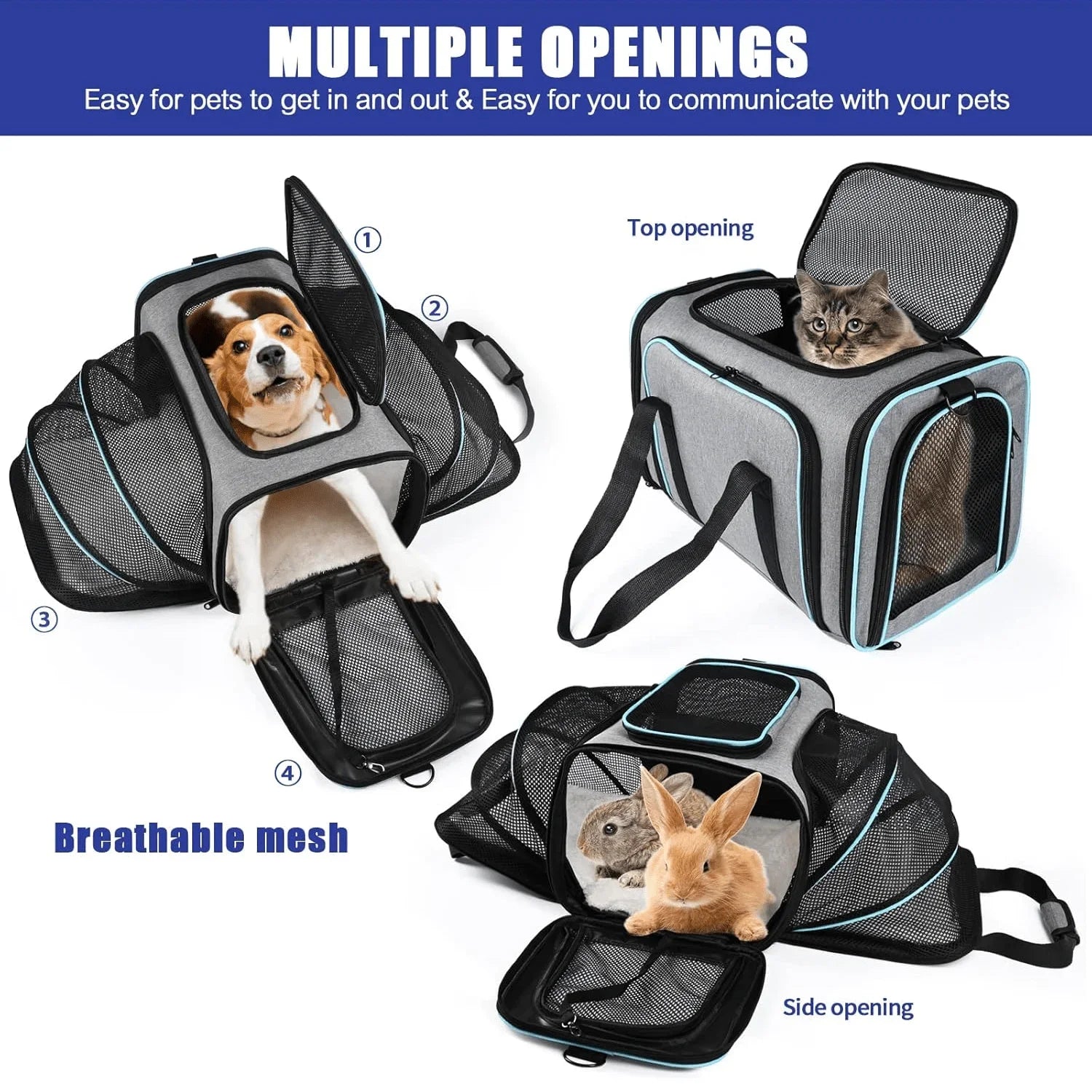 Sac de Transport Agréé Avion ✈️🐾
